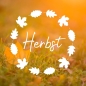 Preview: Vinyl Sticker Herbst